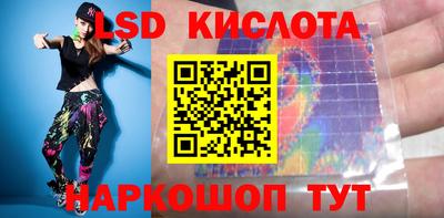 стафф Шелехов