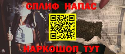 стафф Шелехов