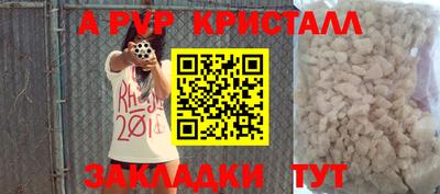 стафф Шелехов