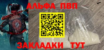 стафф Шелехов