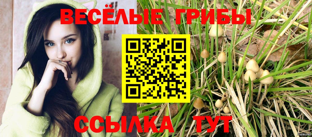 Галлюциногенные грибы мицелий  наркота  Кудрово  Вход с VPN  Галлюциногенные грибы Psilocybine cubensis 