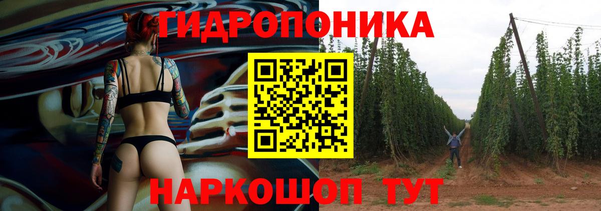 Alpha PVP Кудрово